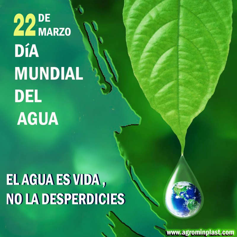 Día Mundial del Agua